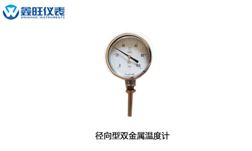 工業(yè)溫度計產品圖片